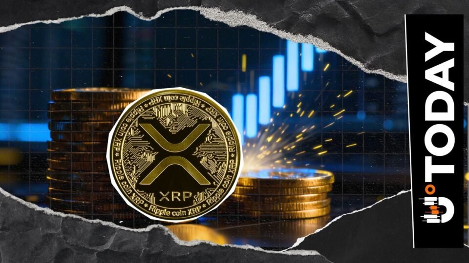 XRP's Most Important Website Gets Revamp: What Changed?