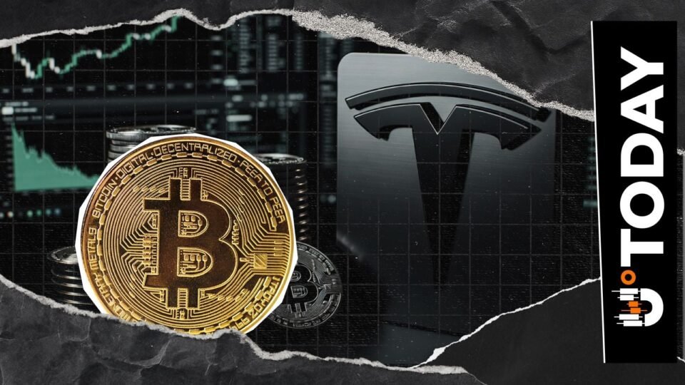 Bitcoin Flips Tesla, Samsung in Market Cap