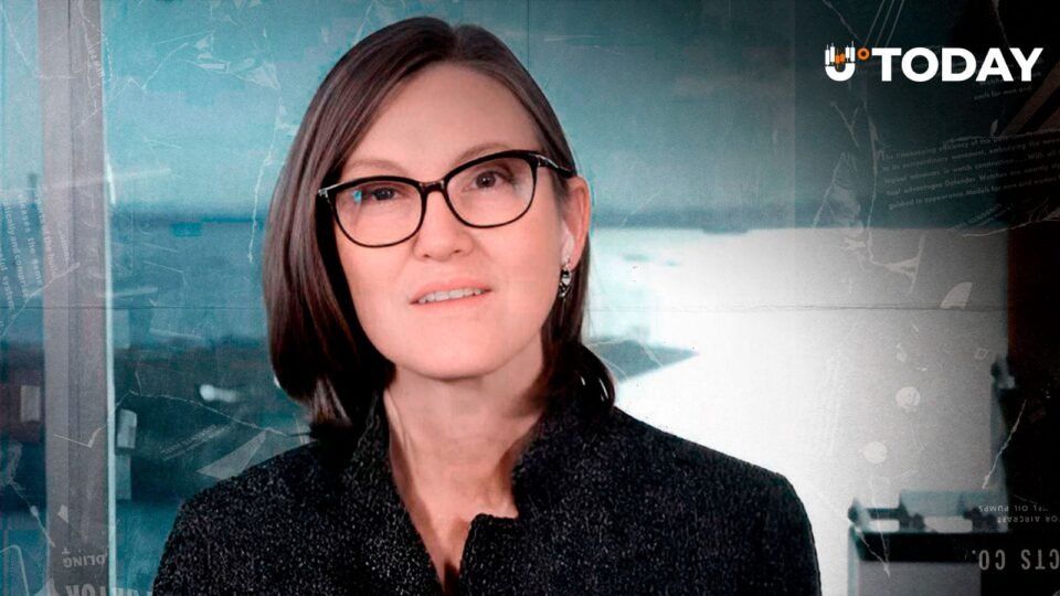 Cathie Wood Says Bitcoin Is 'Not a Dead Cat'