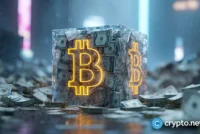 Strategy resumed Bitcoin buying, but Strive gained more BTC per share