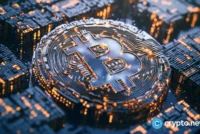 Coldcard whitehats move 52.37 BTC to recovery trust