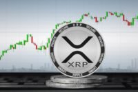 XRP Held by Whales Breaks Records: Analyzing XRP Price Effect