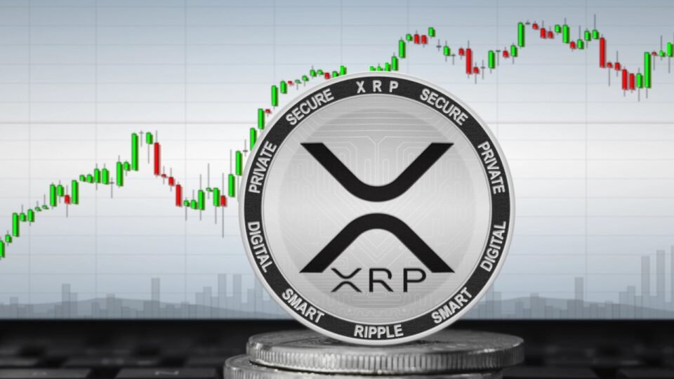 XRP Held by Whales Breaks Records: Analyzing XRP Price Effect