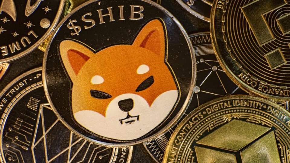 7 Out of 7 Shiba Inu (SHIB) Spot Flow Timeframes Turn Negative