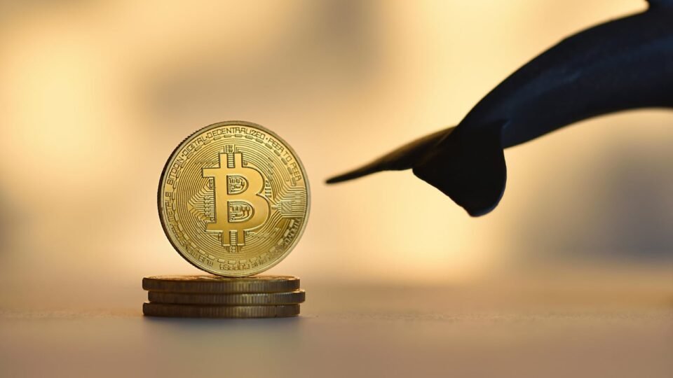 Bitcoin Whale Breaks Silence After 4 Years: $381 Million at Stake