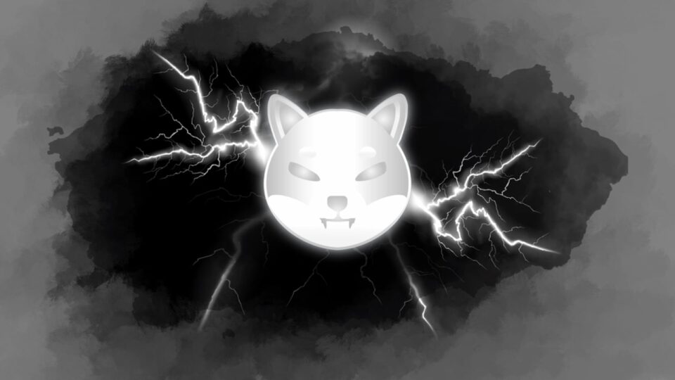 Shiba Inu (SHIB): +468 Million Tokens Added, Bears May Be Exhausted