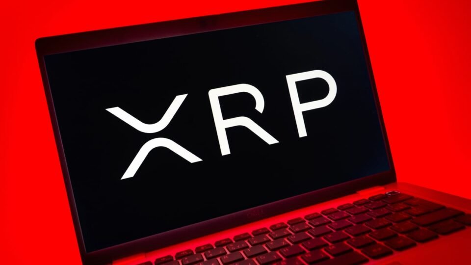 Another Raid on XRP: Ripple Veteran David Schwartz Personally Exposes Fake Airdrop