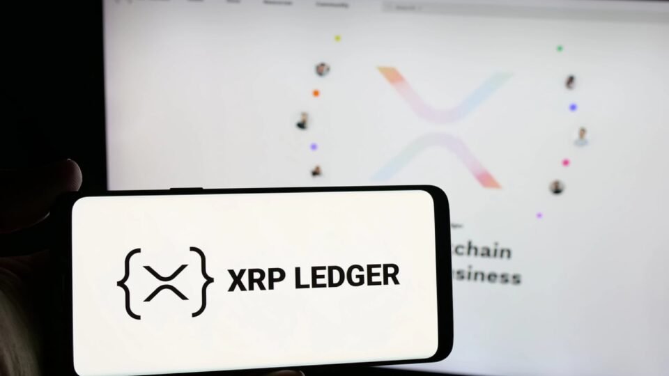 Mysterious Spike on XRP Ledger: 400% Rise in New Accounts