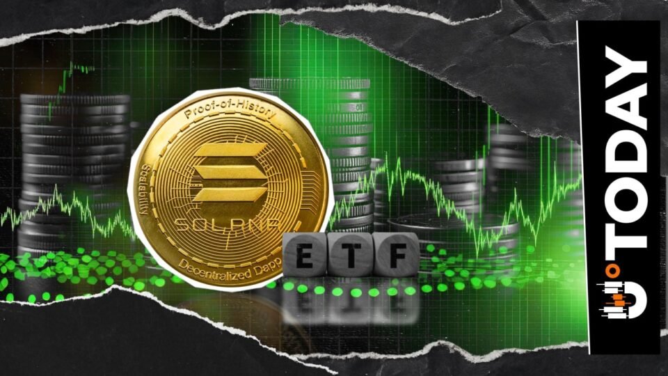Bitwise Extends Solana Purchase Despite Price Drop