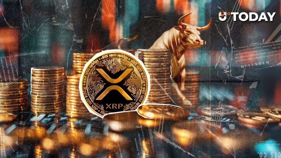 Bitwise Buys Over $19 Million of XRP