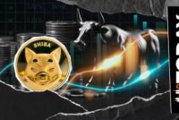 Shiba Inu Rally May Resume: 74 Billion SHIB Netflow Confirms Brewing Demand