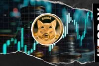 144 Billion SHIB Netflow Sends Warning Amid 5% Price Rally