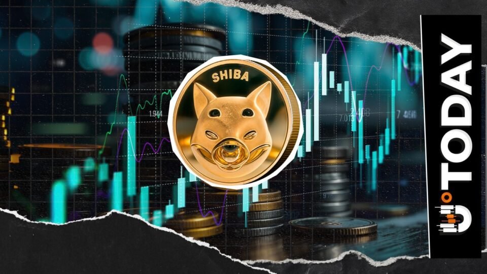 144 Billion SHIB Netflow Sends Warning Amid 5% Price Rally