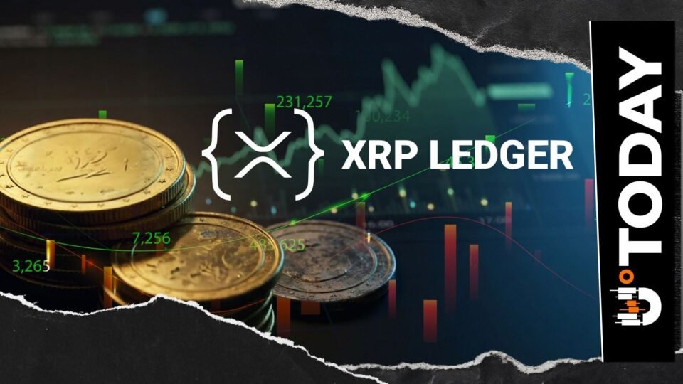 XRP Ledger Spikes 8.9% in Network Activity as Price Reclaims $1.43