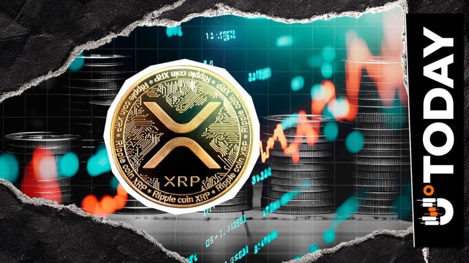 Ripple CEO Claims XRP Is Not Always the Best Answer