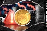 Shiba Inu Community Issues Crucial Alert Over Lookalike Token Threat