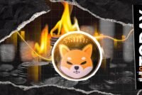 Over 31,000% Shiba Inu Burn Rate Surge Ignites 72.23 Million SHIB Tokens