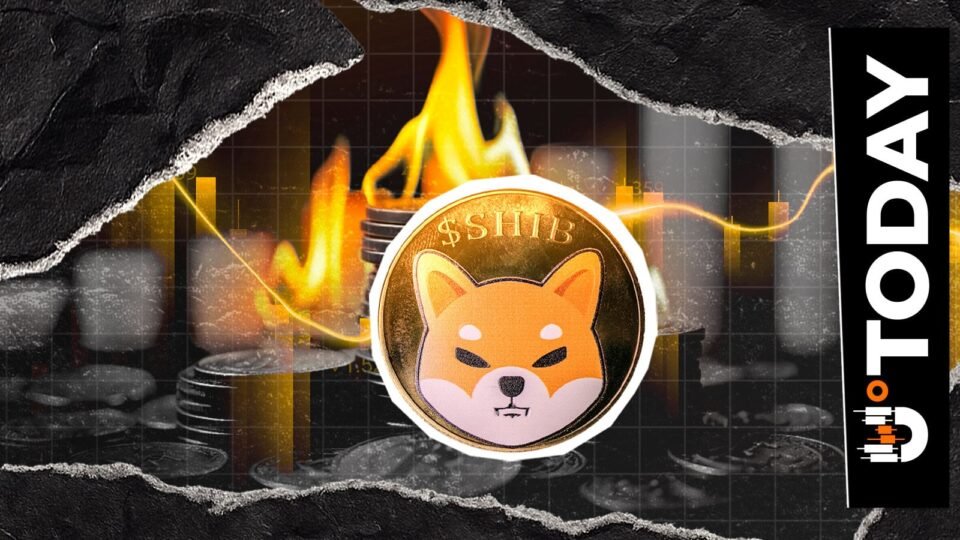 Over 31,000% Shiba Inu Burn Rate Surge Ignites 72.23 Million SHIB Tokens