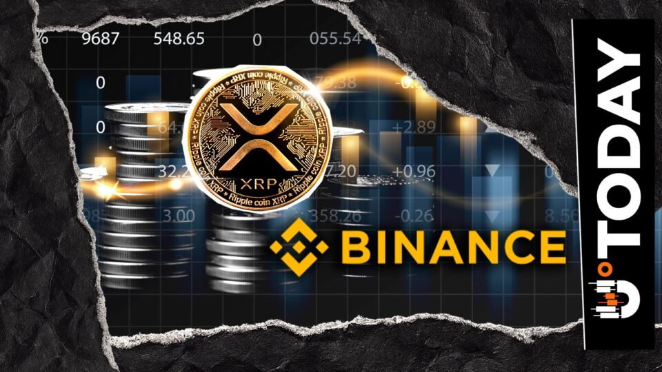 Binance Sees 6-Month High in XRP Whale Inflows With 1.6 Billion Tokens Shifted