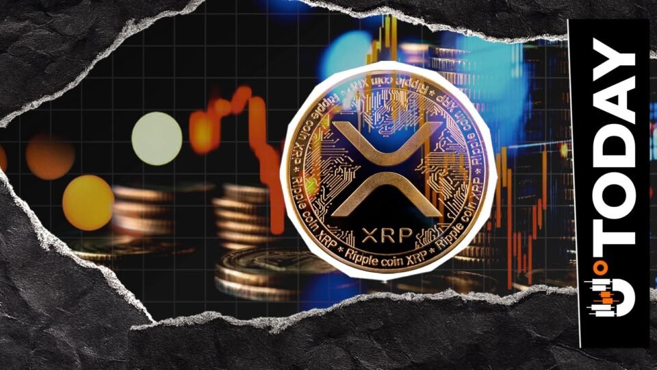 XRP Faces 980% Liquidation Imbalance as Longs Take Hit in Market Selloff