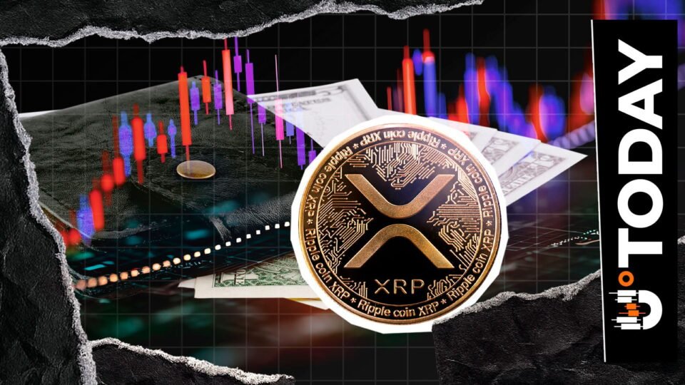 'Never Send XRP to Old App Wallet': Crucial Alert as Wallet Drain Continues