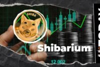 Shiba Inu's Shibarium Activity Up 151%: What's Fueling the Surge?