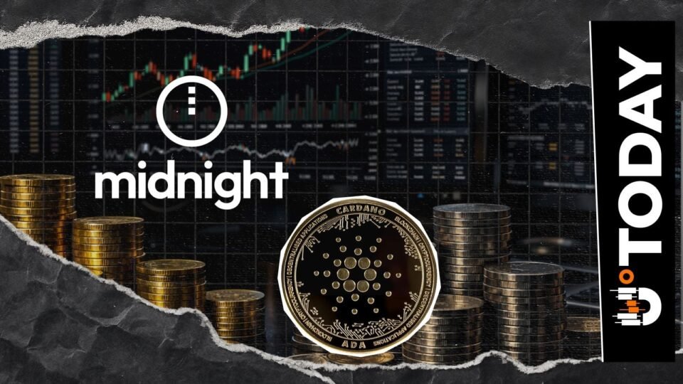 Cardano Midnight Scores Key Japan Exchange Listing