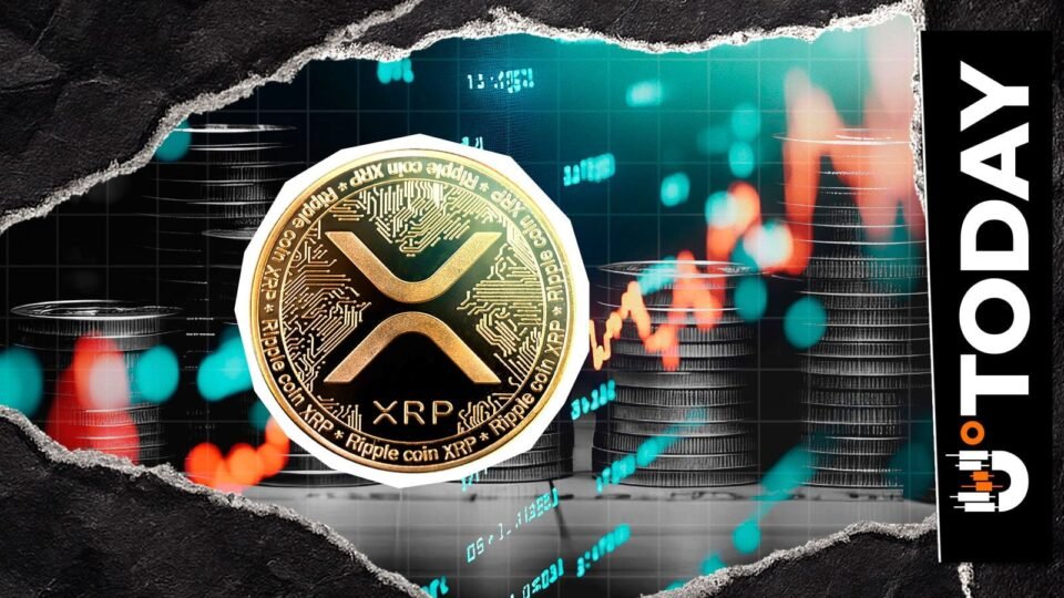 XRP Price Drop Called 'Lunacy' by Flare CEO