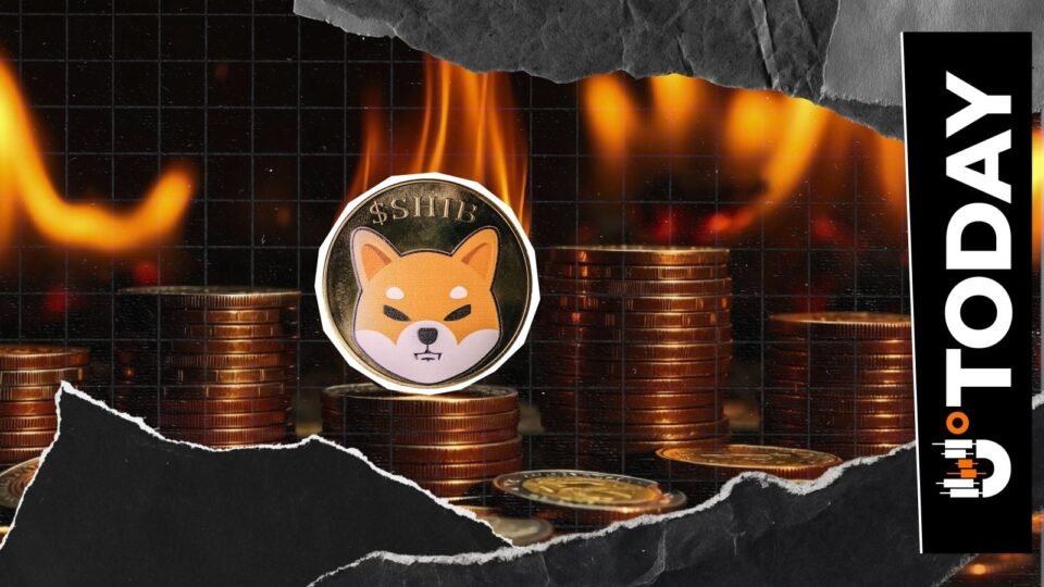 Rare $0 Shiba Inu Burn in 24 Hours as Burn Rate Collapses 100%