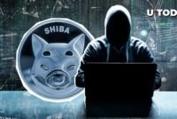Shiba Inu Developer Breaks Months-Long Silence Amid Shibarium Speculation