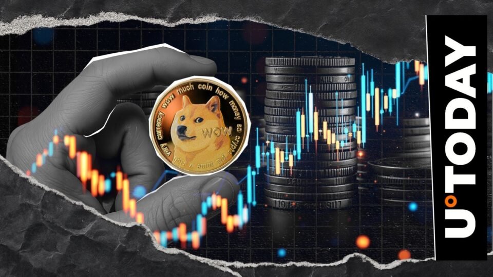 DOGE Director Highlights 'Avalanche' of New Projects as Dogecoin Infrastructure Expands
