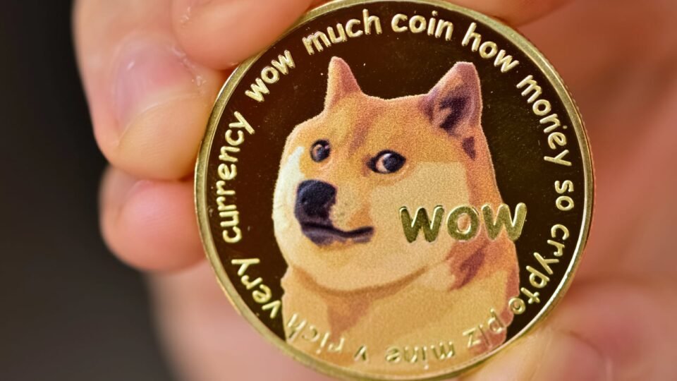 'We Made It 300x Faster': Metallicus CEO Delivers on Elon Musk's Dogecoin Vision