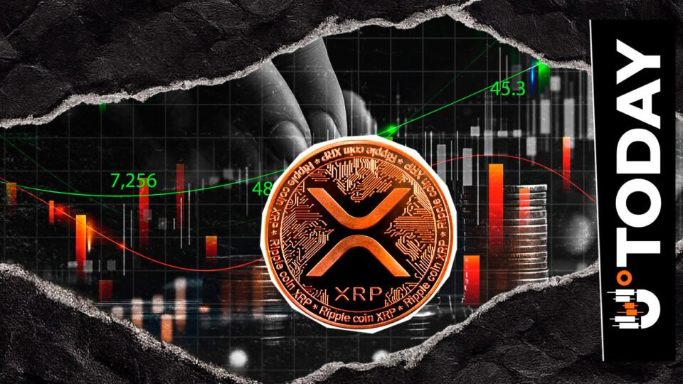 Bitwise Makes Biggest XRP Purchase in October
