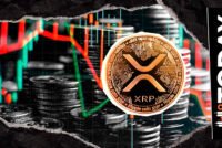 XRP Whale Dominance Drops 27% in Just 8 Days