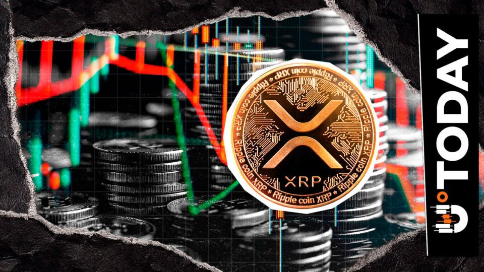 XRP Whale Dominance Drops 27% in Just 8 Days