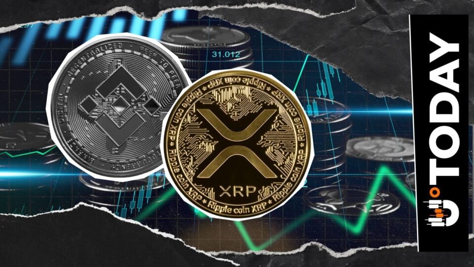 XRP Outperforms Ethereum at October ETF Start