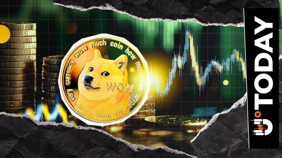 DOGE Beats Nike Over 5 Years: Here's How Numbers Compare